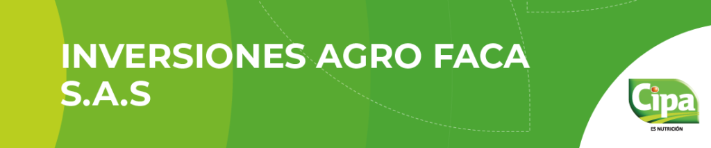 Portada-v2151000-01.png