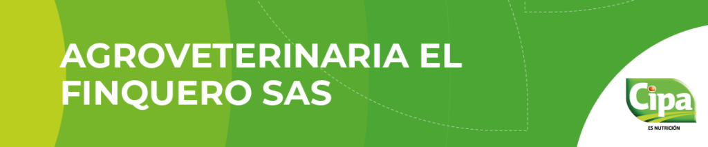 Portada-v2163000-01.png