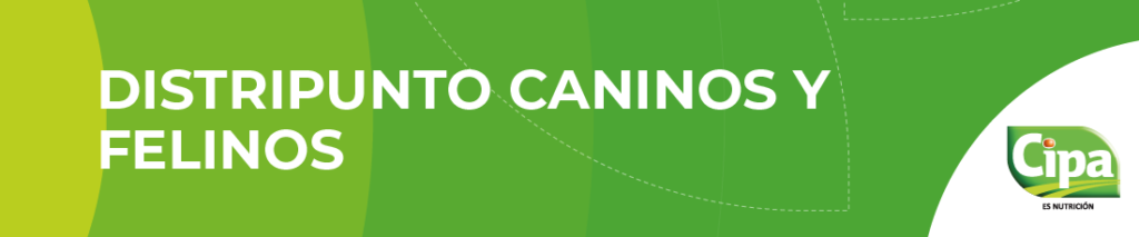 Portada-v2340000-01.png